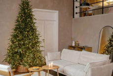 Мировые знаменитости запустили моду на «голые» елки