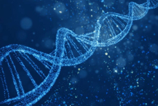 Учёные впервые раскрыли секрет долголетия