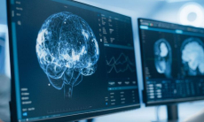 Выявлен гормон стресса, который помогает восстанавливать мозг