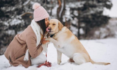Почему люди неверно понимают эмоции собак