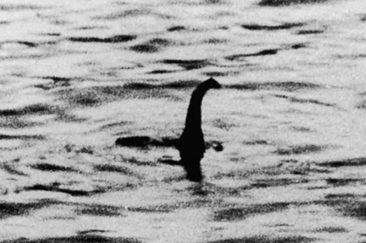 Официальные лица за год зафиксировали пять встреч с Лох-несским чудовищем