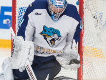 Фоторепортаж с матча КХЛ «Лада» — «Барыс» 2:0