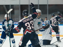 Фоторепортаж с матча КХЛ «Нефтехимик» — «Барыс» 3:2