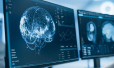 Мозг ящериц, птиц и людей отдыхает по древнему «правилу»