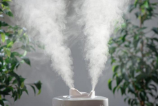 Как увлажнить воздух дома без специальной техники — простые решения