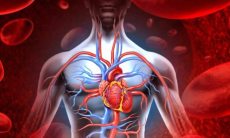 Кардиолог раскрыл правду о неработающих средствах, опустошающих кошелек