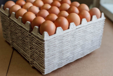 Не выбрасывайте лотки от яиц — им можно найти неожиданное применение