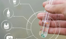 Микропластик может напрямую повреждать поджелудочную, выяснили ученые