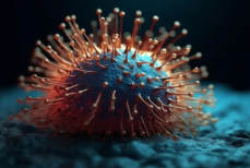 Ученые выявили гигантский вирус с уникальным механизмом действия