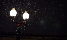 Ученые из США обнаружили, что инопланетяне могут общаться «как светлячки»