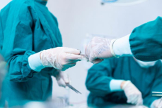 Названы главные проблемы пересадки свиных органов человеку