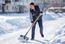 Чем полезна уборка снега и кому она может навредить