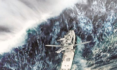 Ученые встревожены аномальным поведением банды косаток-убийц