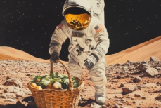 Кухня будущего на Марсе — NASA ищет разработчиков и обещает крупную награду