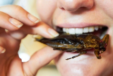 «На вкус как попкорн» — американец рассказал о своём рационе