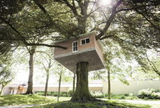 Названо лучшее место проживания, снижающее риск сердечно-сосудистых заболеваний