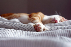 Раскрыта одна из важнейших привычек для поддержания здоровья психики