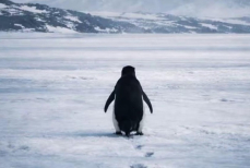 Мем про выгорание, в котором все узнали себя. Видео