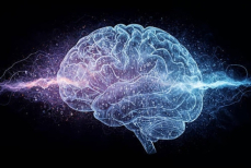 Найдена неожиданная причина изменений в развитии мозга у современных подростков