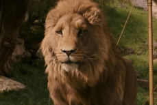 Завершены съёмки фильма «Нарния» от Греты Гервиг. Известна дата выхода