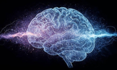 Почему стресс полезен для мозга