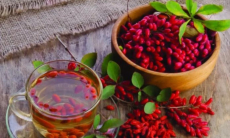 Как барбарис спасает сосуды