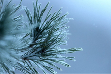 Почему в мороз воздух кажется грязнее и как защитить здоровье