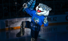 Эксперт оценил соперников «Барыса» в домашней серии игр КХЛ