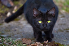 Мистическая пятница, 13-е — что нельзя делать и кто окажется в плюсе