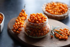 Гастроэнтеролог рассказал, кому нельзя есть облепиху