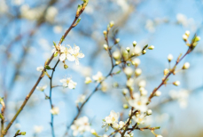Почти отпуск — сколько дней подряд будем отдыхать в марте