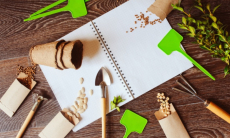 Какие семена выбросить, чтобы не остаться без урожая