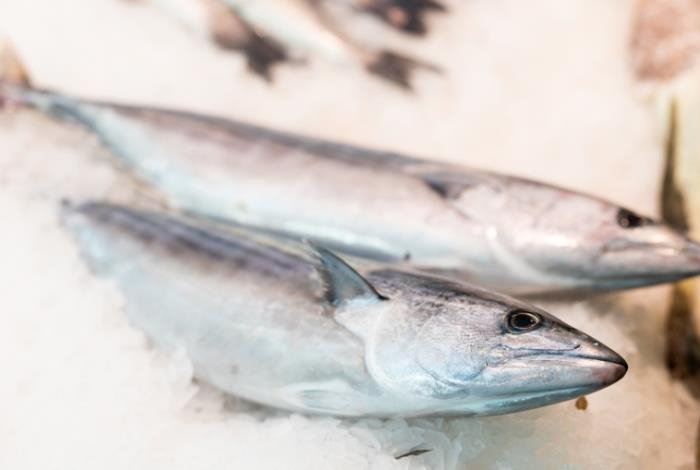 Названа самая полезная рыба, покупка которой не ударит по карману