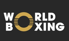 В Украине отреагировали на вступление России и Беларуси в World Boxing Геннадия Головкина