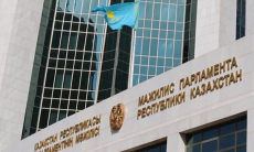 В Мажилисе назвали топ-3 лучших бойцов ММА Казахстана