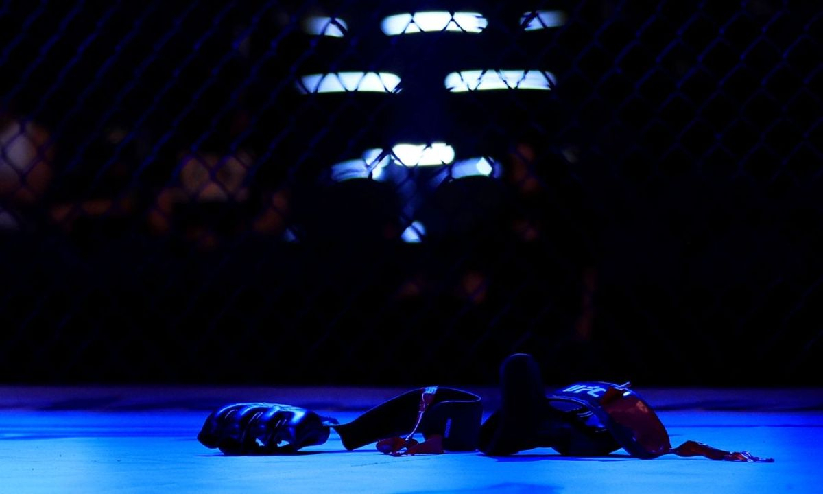 Кард турнира UFC в Белом доме вызвал критику в России