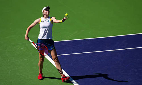 WTA отметила лидерство Елены Рыбакиной и назвала её главное оружие