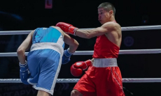 Казахстан, Узбекистан или Индия? Кто лидирует по количеству финалистов ЧА-2026 по боксу