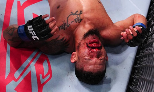 Боец с рекордом 14-0 проиграл нокаутом в UFC. Видео