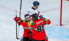 Венгрия со счетом 5:0 выиграла матч ЧМ-2026 по хоккею