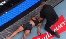 Ярким нокаутом в первом раунде завершился бой турнира UFC. Видео
